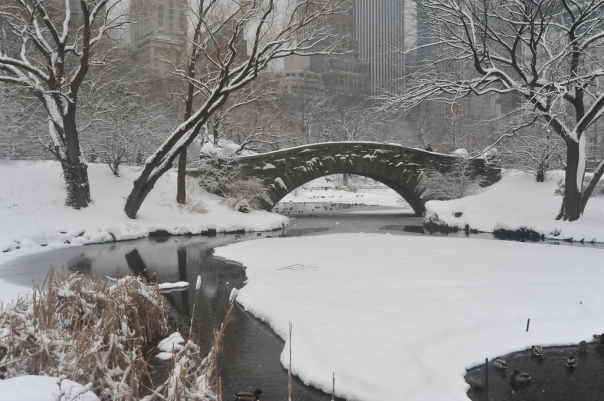 Schnee im Central Park, New York, USA